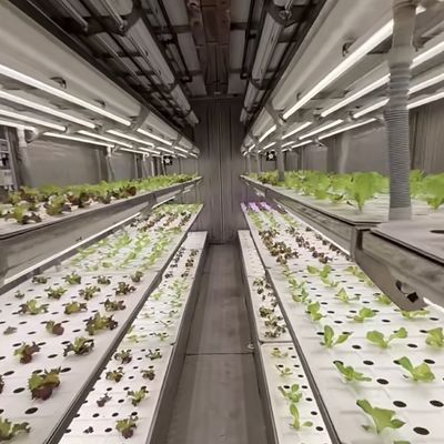 野菜のための温室 オーダーメイド カスタマイズ
