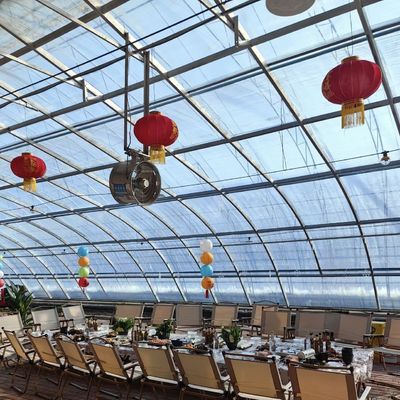 多スパン 太陽光温室 水栽培 野菜 生産 の 究極 的 な 選択