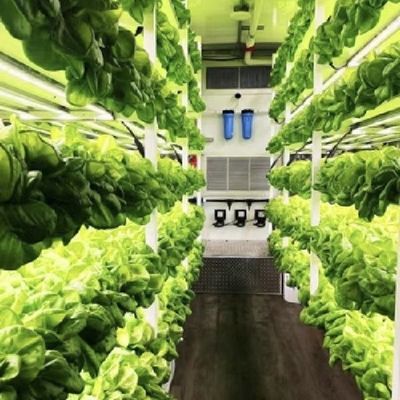 あなたの指先で葉野菜のカスタマイズのための温室コンテナ屋根シート