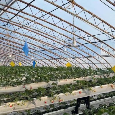 商業用水栽培種植温室の運送費用と推定納期