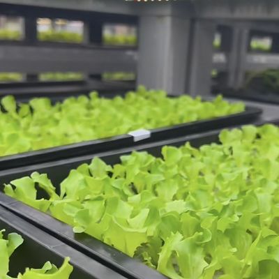 コンテナ温室 輸送コストと推定納期のための温室