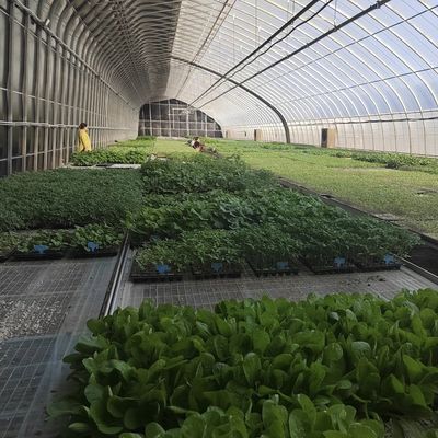 30 日 返金 原産地 灌?? 温室 顧客満足度