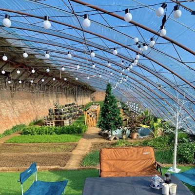 US 20/平方メートル 水栽培 日光温室 野菜 ストロベリー 花