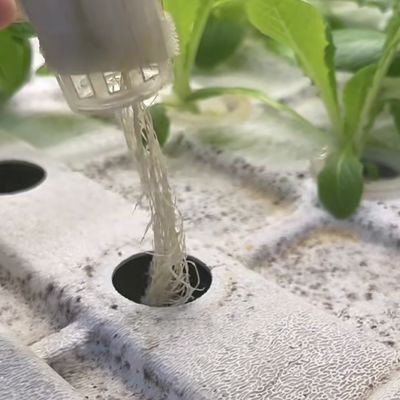 葉緑の容器 温室用屋根用シート JX-A00103 葉緑の容器に適している