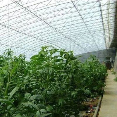 商業用温室の野菜のための高度な湿度制御と日光システム