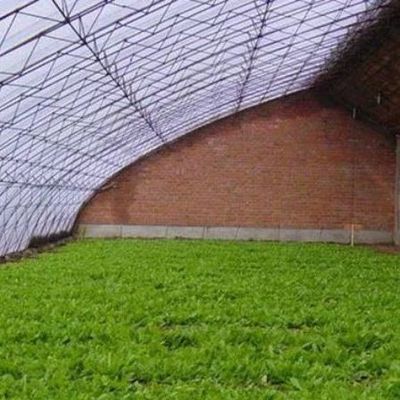 商業用温室の野菜のための高度な湿度制御と日光システム