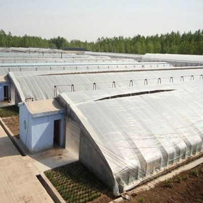 2000.000kg パッケージ 総重量 先進的な野菜栽培 太陽光温室システム