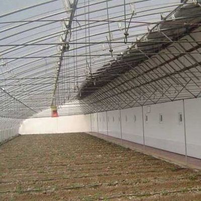 2000.000kg パッケージ 総重量 先進的な野菜栽培 太陽光温室システム