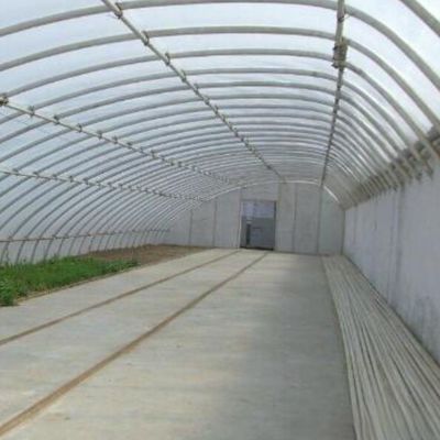 2000.000kg ストロベリー栽培のための商用日光温室 jx-sg-108