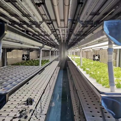 水素栽培 葉野菜の温室 水素栽培方法