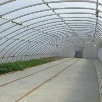 2000.000kg トマトと黄瓜栽培 太陽光温室ソリューション