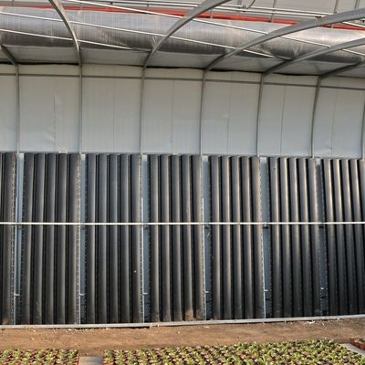 2000.000kg トマトと黄瓜栽培 太陽光温室ソリューション