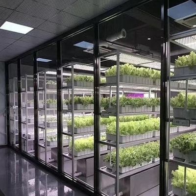 葉野菜のためのリファーコンテナ温室 スマートコンテナ温室