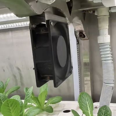 スタールカバー 葉緑 容器 温室 オーダーメイド