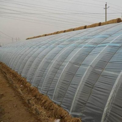 トマト栽培 湿度制御と温度制御の太陽光温室