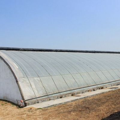 商業用水栽培温室 黄瓜の植え付け暖房方法 臨時暖房