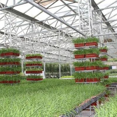 1209cm * 235cm * 239cm 垂直農業用コンテナ 水栽培装置付き温室