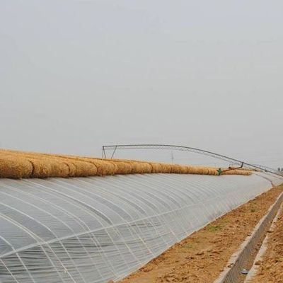 高級野菜栽培 太陽光温室 40HQ リファーコンテナ