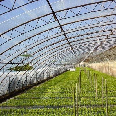 高級野菜栽培 太陽光温室 40HQ リファーコンテナ