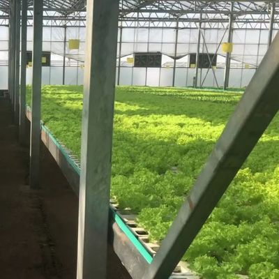 垂直農業 輸送 コンテナ温室 水栽培と鉄鋼構造