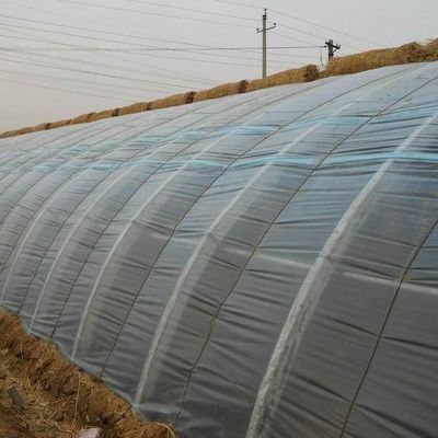 アメリカ 貨幣 商業 トマト 植え 太陽光 温室 最適作物 生産