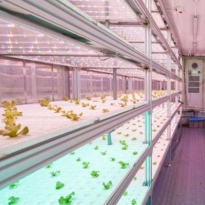商用産業における水力栽培垂直農業のための輸送コンテナ温室