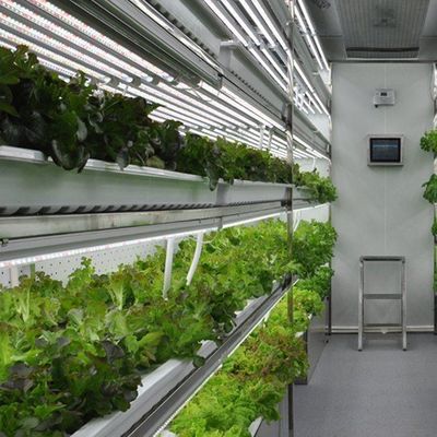 商業用温室用水栽培垂直栽培容器