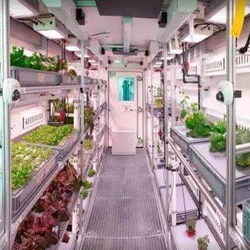 商業用温室用水栽培垂直栽培容器
