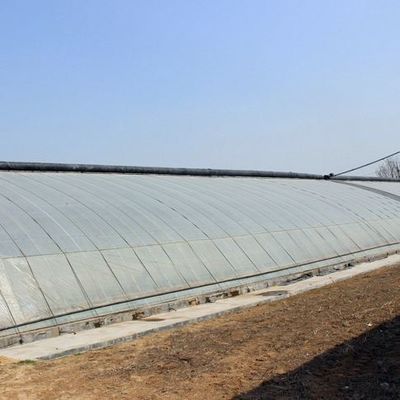 鉄筋構造/壁湿度制御太陽光温室 野菜栽培用