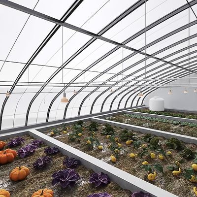 ジュキヤング自動灌輸 日光温室 野菜の換気と遮光
