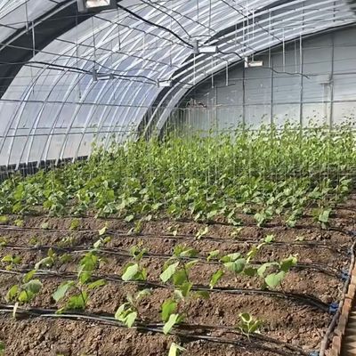 ジュキヤング自動灌輸 日光温室 野菜の換気と遮光
