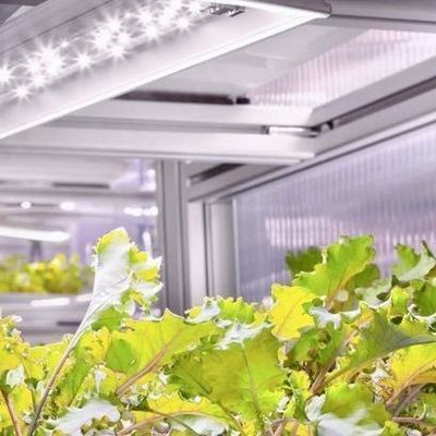 輸送コンテナにおける水力栽培垂直農業のための多用途の商業温室