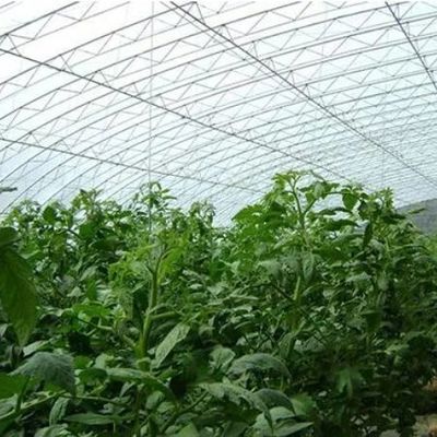 灌輸システム 日光 野菜の温室 アメリカ通貨と一時的な暖房