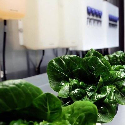鉄蓋 輸送コンテナ 水素垂直農業生産のための温室
