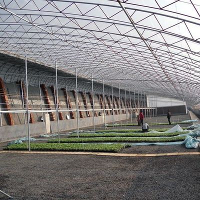トマト 栽培 用 陽光 強化 温室 双層 弧形 屋根