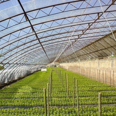 野菜栽培と一時的な暖房生産性のための二層温室