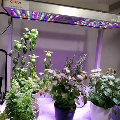 垂直農業 コンテナ 温室 水産 特徴 形状 屋根 設計