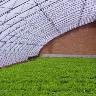 湿度制御と最適な植物の成長と先進的な野菜日光温室