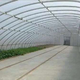 湿度制御と最適な植物の成長と先進的な野菜日光温室