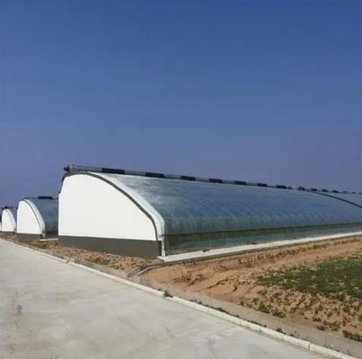 湿度制御と最適な植物の成長と先進的な野菜日光温室