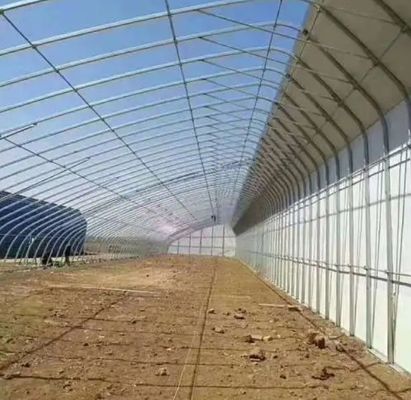 湿度制御と最適な植物の成長と先進的な野菜日光温室