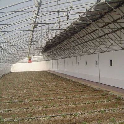 湿度制御と最適な植物の成長と先進的な野菜日光温室