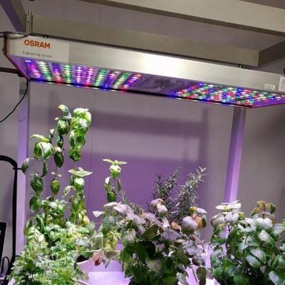 水素垂直農業システムのための大型多スパン輸送コンテナ温室