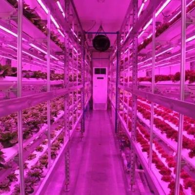 水素垂直農業システムのための大型多スパン輸送コンテナ温室