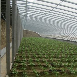 パッケージ 総重量 2000,000kg 野菜栽培のための軽量太陽光温室