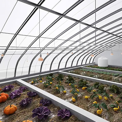 パッケージ 総重量 2000,000kg 野菜栽培のための軽量太陽光温室