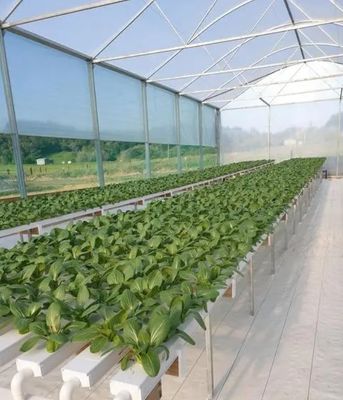 輸送コンテナ温室のための革命的な水力栽培垂直農業技術