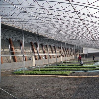 1209.00cm * 235.00cm * 239.00cm トマトと黄瓜を植える 太陽光温室をあなたのために