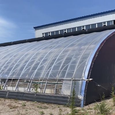 1209.00cm * 235.00cm * 239.00cm トマトと黄瓜を植える 太陽光温室をあなたのために