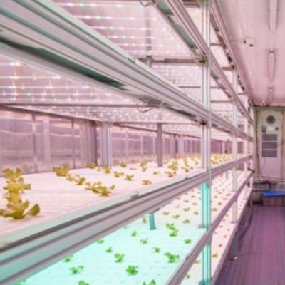 垂直農業用コンテナ温室